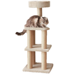 Amazon Basics Cat Tree Review