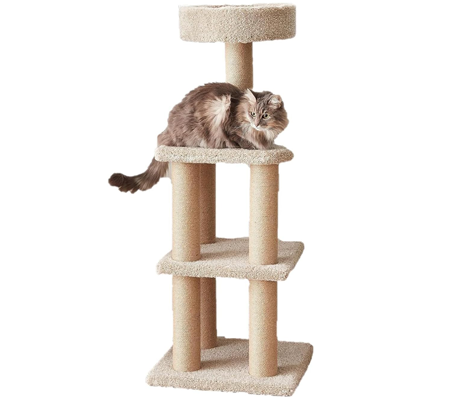 Amazon Basics Cat Tree Review