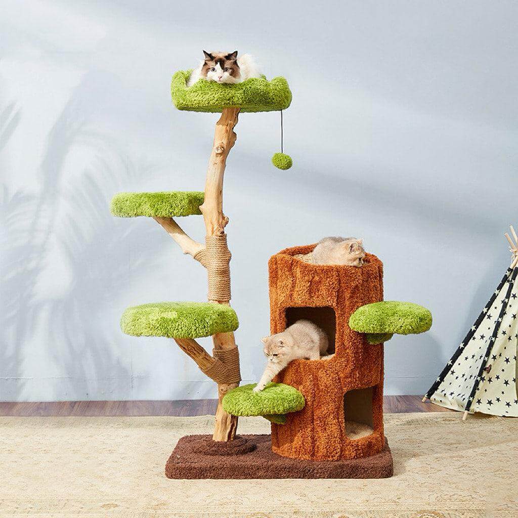 Cat Tree for Cats