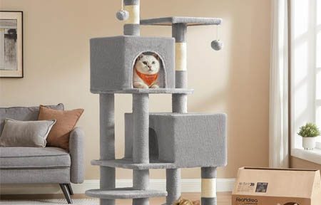 Cat Tree for Cats Indoor 61