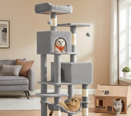 Cat Tree for Cats Indoor 61