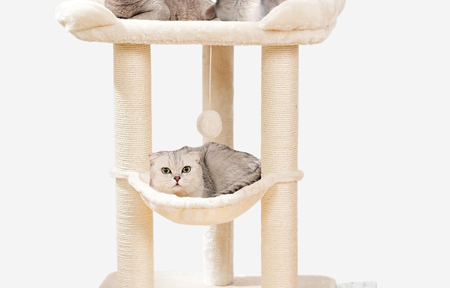 Happi N Pets Review