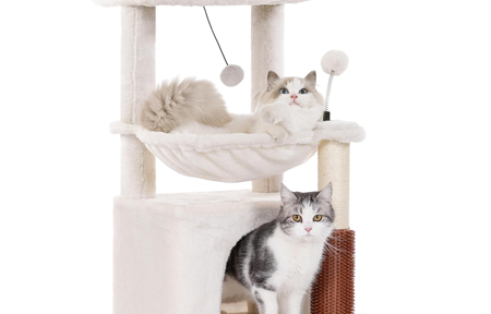 Pawfessor Cat Tree
