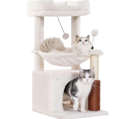 Pawfessor Cat Tree