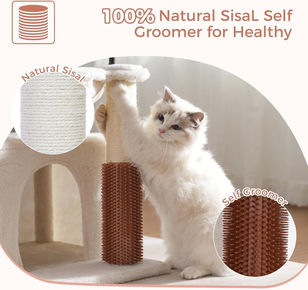 Pawfessor Cat Tree Review