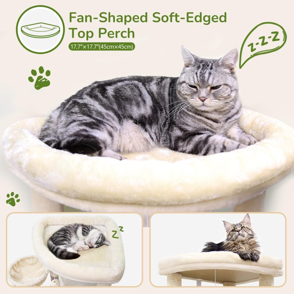 best Globlazer Corner Cat Tree Review